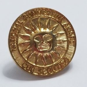 Vintage 90s Brass Cub Scout Boy Scouts BSA National Summertime Award Pin